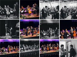 Photos of Cello Akademie Rutesheim 2013